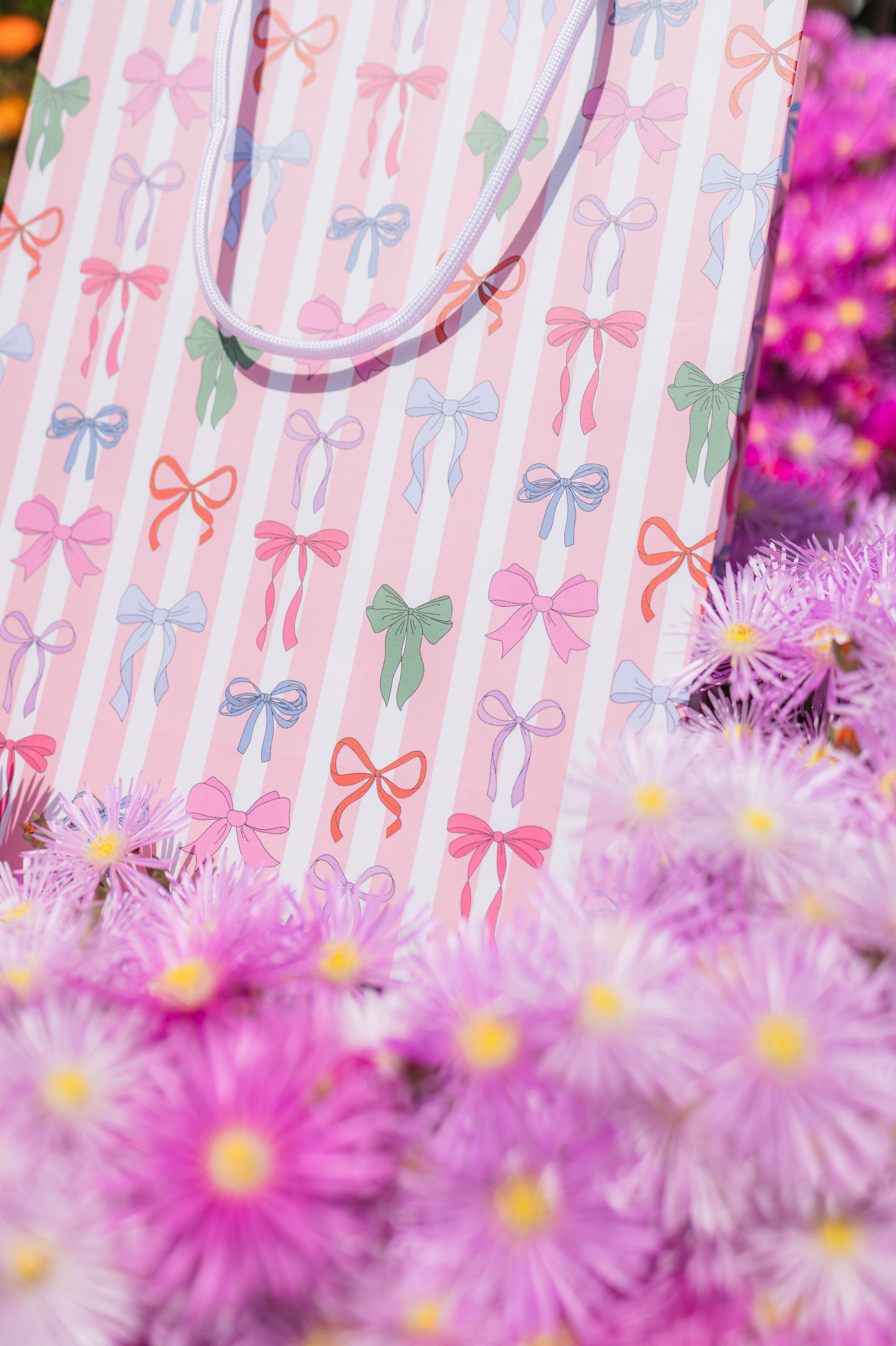 Stripe Bows Gift Bag