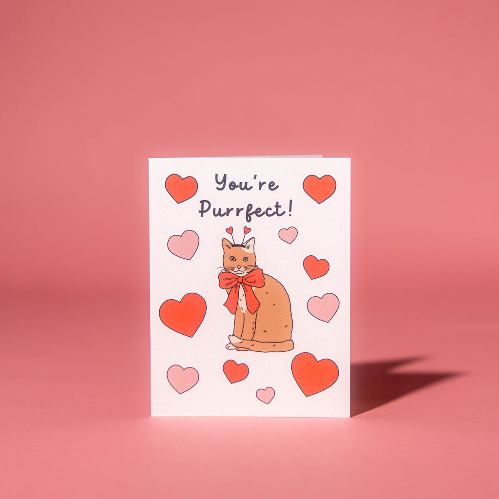 Purrfect Love
