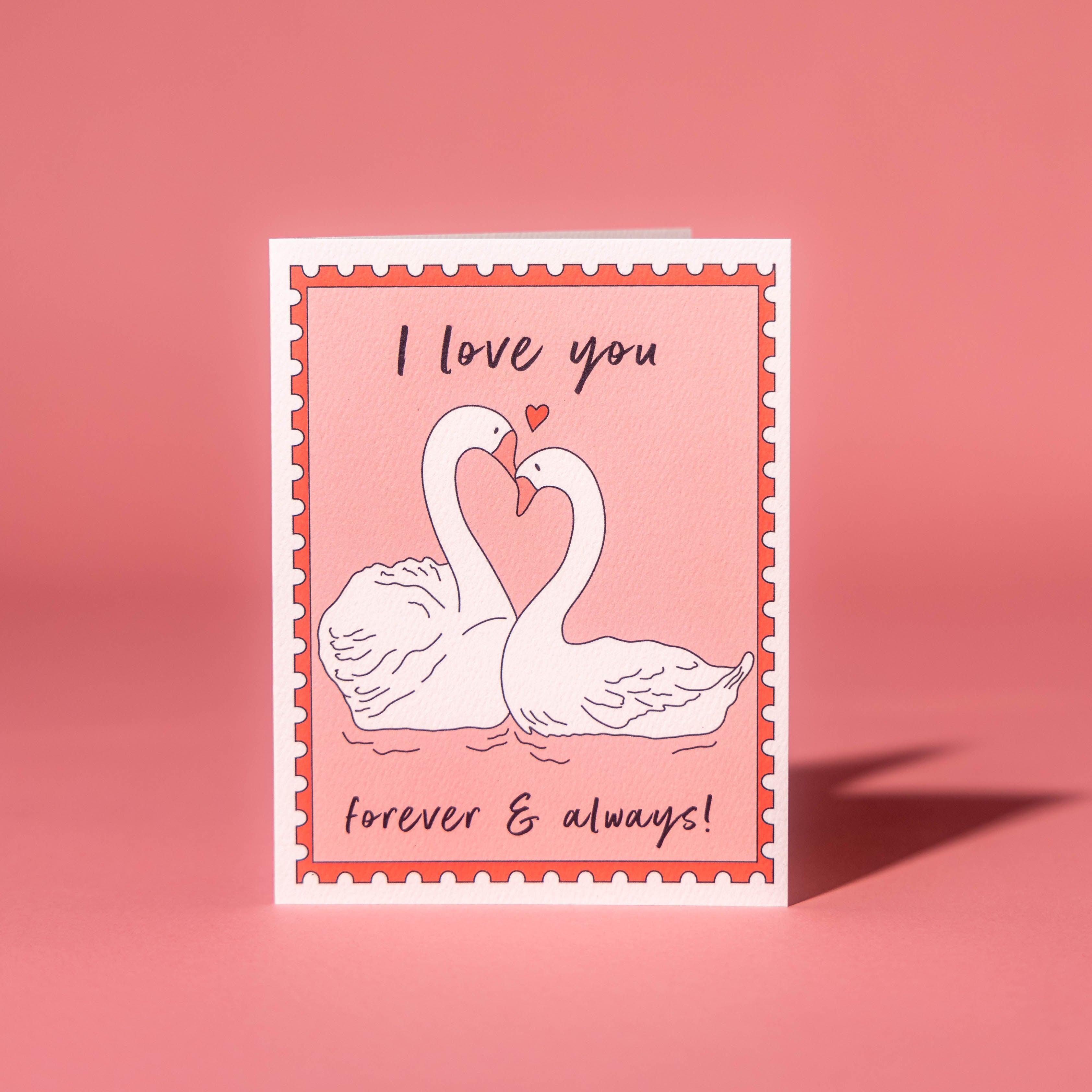 Forever & Always Swans