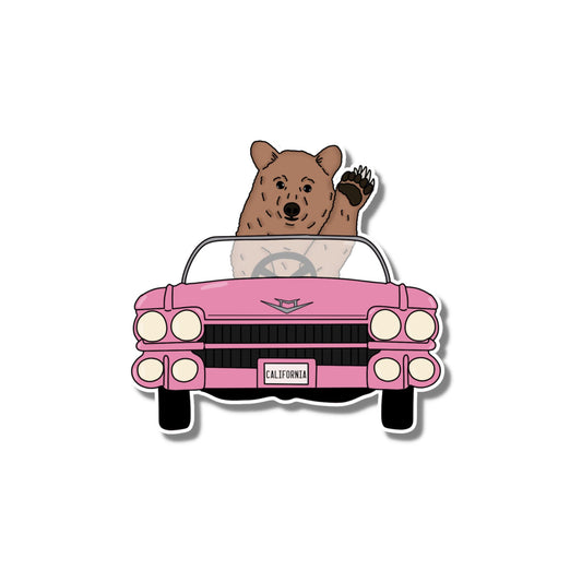 Driving Bear