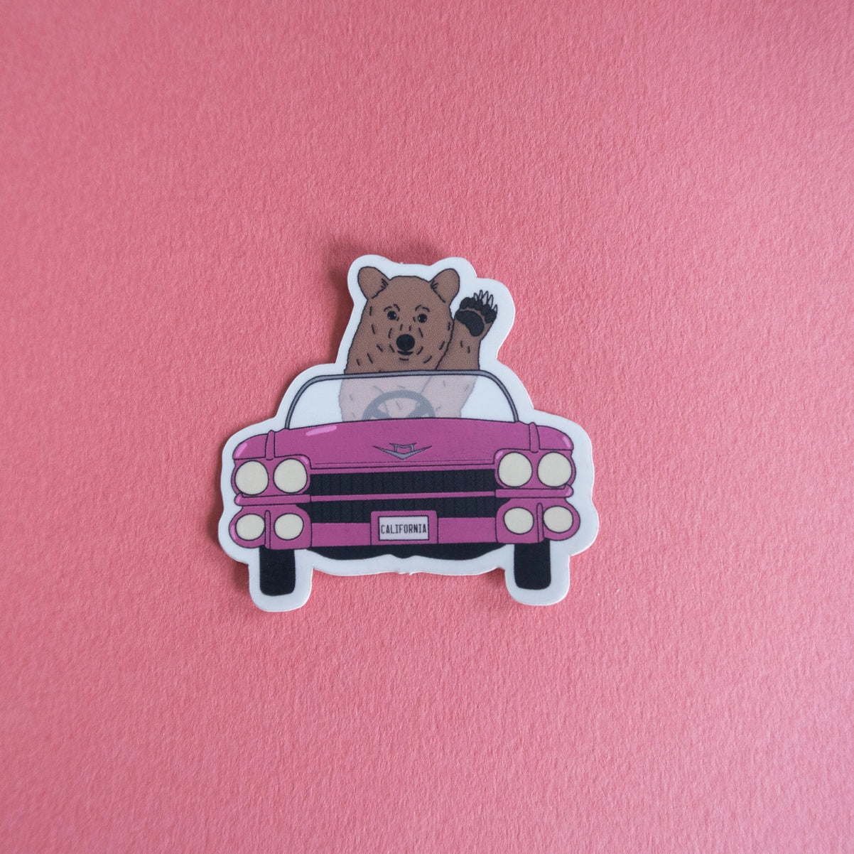 Driving Bear