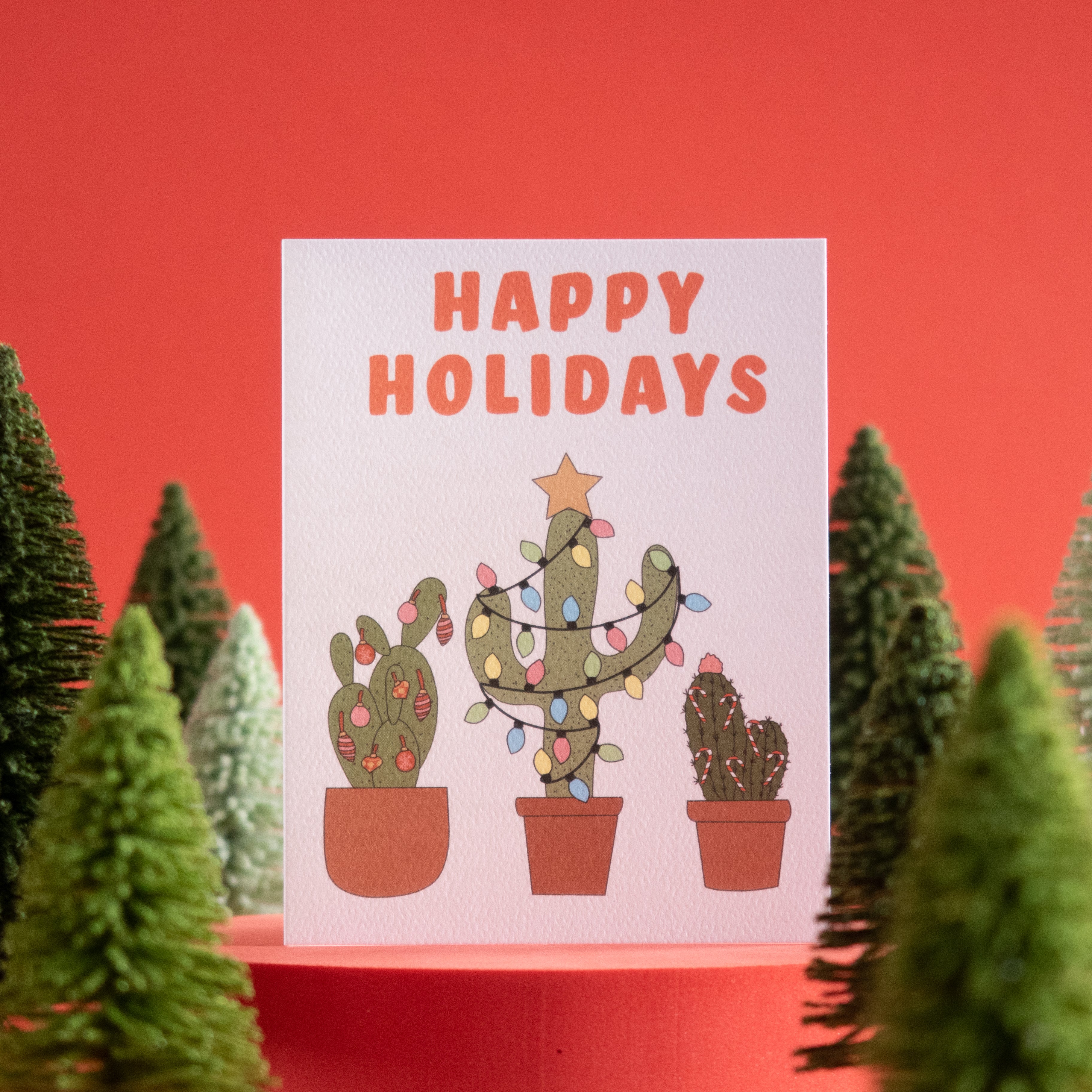 Holiday Cactus